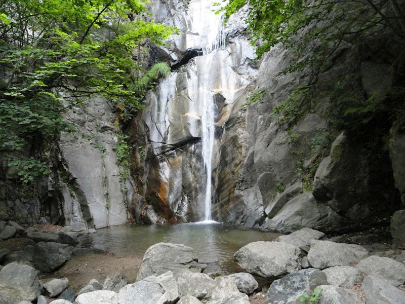 Allotjament Taga Ribes De Freser Bagian luar foto