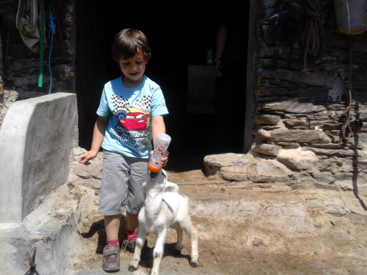 Allotjament Taga Ribes De Freser Bagian luar foto
