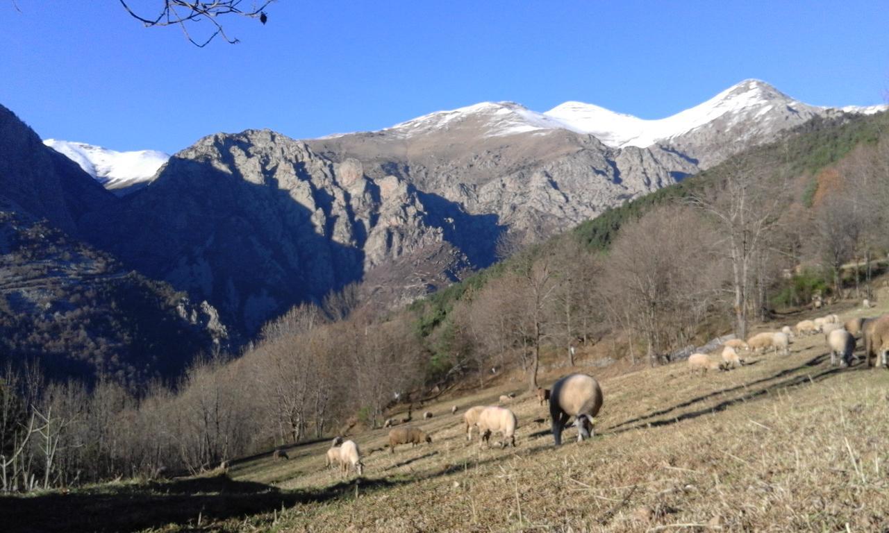 Allotjament Taga Ribes De Freser Bagian luar foto